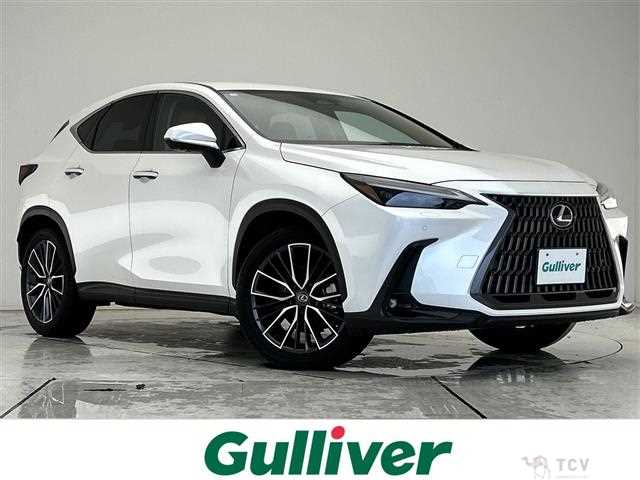 2024 Lexus NX