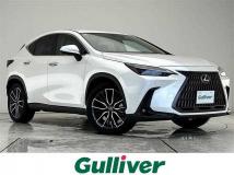2024 Lexus NX