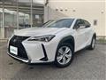 2020 Lexus UX