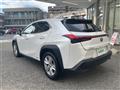2020 Lexus UX