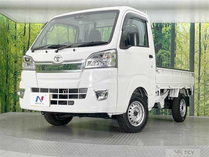 2020 Toyota PIXIS TRUCK