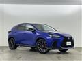 2021 Lexus NX