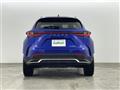 2021 Lexus NX