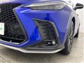 2021 Lexus NX