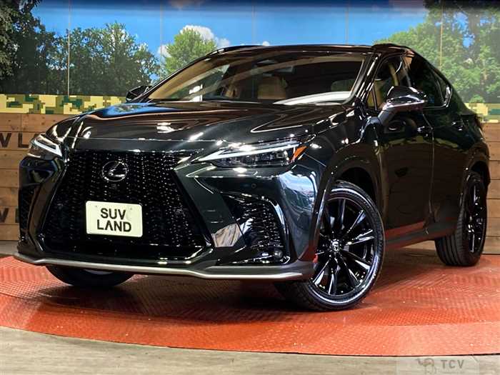 2025 Lexus NX