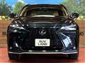 2025 Lexus NX