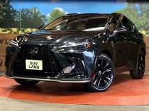 2025 Lexus NX
