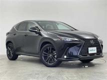 2022 Lexus NX