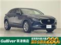 2019 Mazda CX-3