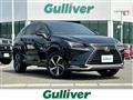 2021 Lexus NX