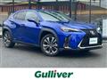 2021 Lexus UX