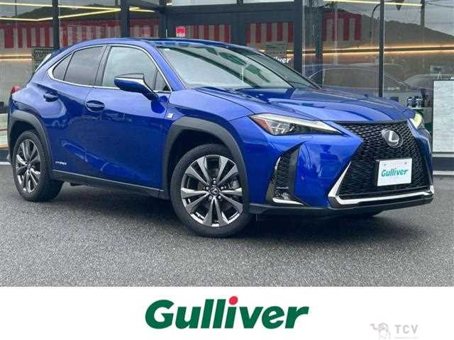 2021 Lexus UX