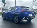 2021 Lexus UX