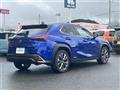 2021 Lexus UX