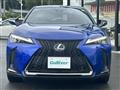 2021 Lexus UX