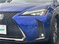 2021 Lexus UX
