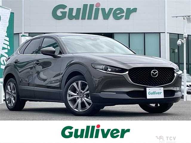 2021 Mazda CX-3