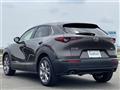 2021 Mazda CX-3