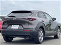 2021 Mazda CX-3
