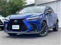 2022 Lexus NX