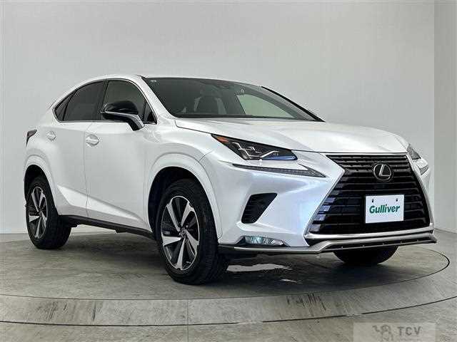2021 Lexus NX
