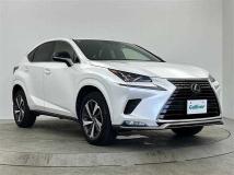 2021 Lexus NX