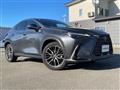 2023 Lexus NX