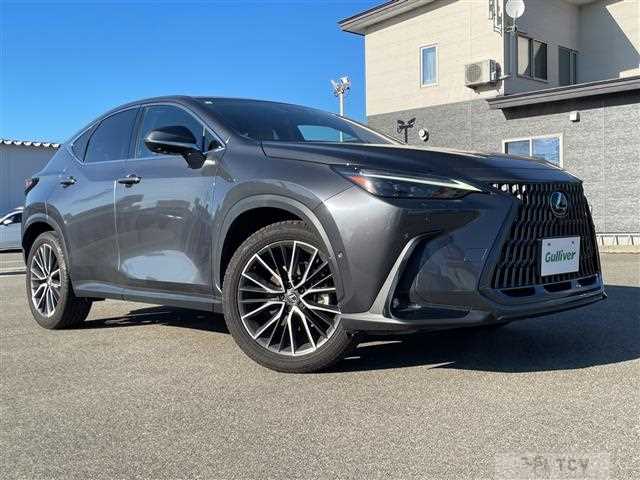 2023 Lexus NX