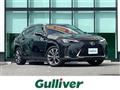 2020 Lexus UX