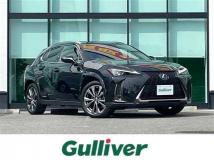 2020 Lexus UX