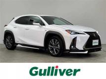 2019 Lexus UX