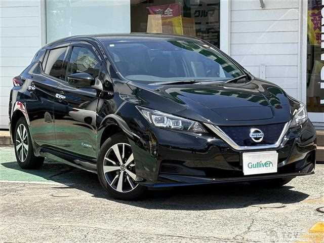 2019 Nissan Leaf