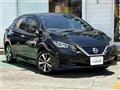 2019 Nissan Leaf