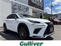 2021 Lexus NX