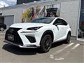 2021 Lexus NX