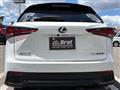 2021 Lexus NX
