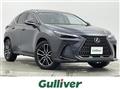 2022 Lexus NX