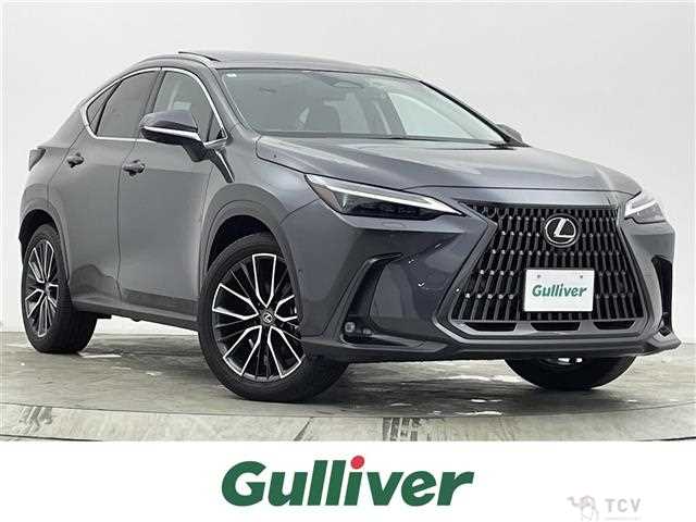 2022 Lexus NX