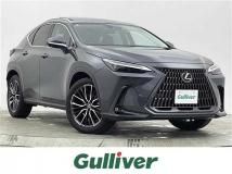 2022 Lexus NX