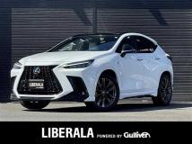 2022 Lexus NX