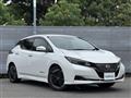 2022 Nissan Leaf
