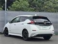 2022 Nissan Leaf