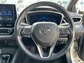 2019 Toyota Corolla Sports