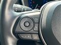 2019 Toyota Corolla Sports