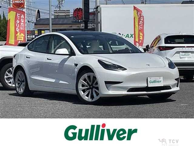 2021 Tesla Motors Others