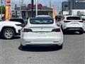 2021 Tesla Motors Others
