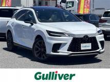 2025 Lexus RX