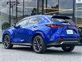 2022 Lexus NX
