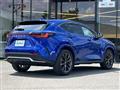2022 Lexus NX