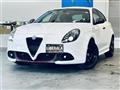 2019 Alfa Romeo Alfa Romeo Others